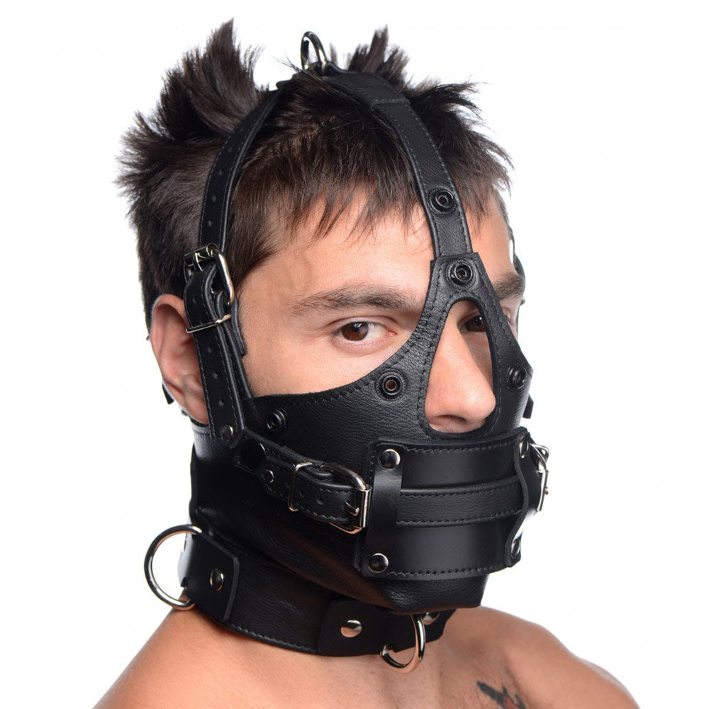 Leather Head Harness with Removeable Gag
