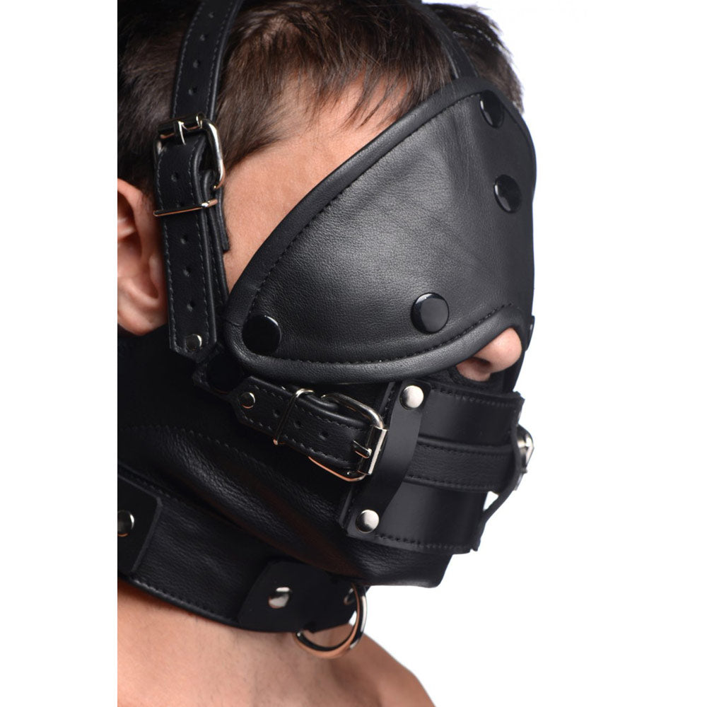 Leather Head Harness with Removeable Gag