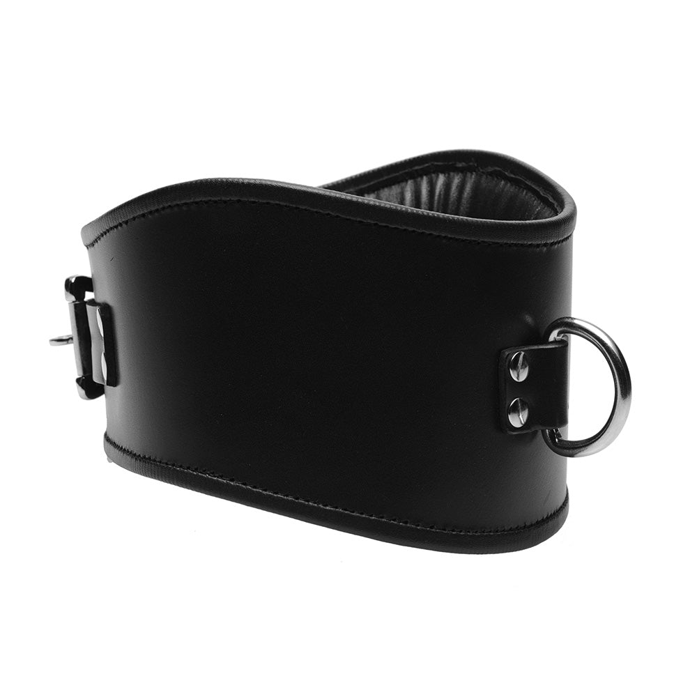 Leather Locking Posture Collar